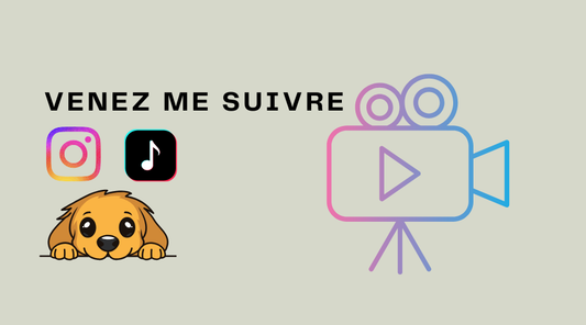 🎉 Je suis maintenant sur Instagram et TikTok