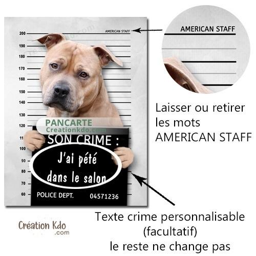 plaque prisonnier chien humour personnalisé american staff