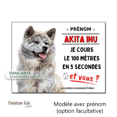 Plaque Akita Inu bringé roux humour Je cours le 100 mètres monte la garde panneau