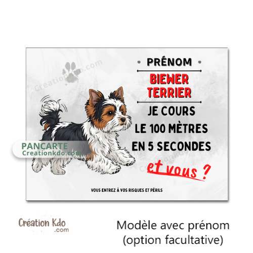 Plaque chien humour Attention Biewer Terrier Je cours le 100 mètres Panneau portail personnalisé