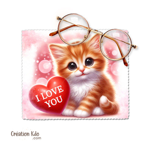 chiffon à lunettes chat noir chiffonnette chaton essuie lunette lingette chamoisine