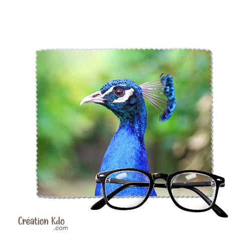 chiffon à lunettes col vert essuie lunette Paon photo chiffonnette chamoisine