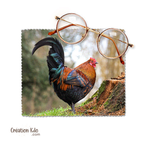chiffon à lunettes essuie lunette oiseau coq poule photo chiffonnette chamoisine