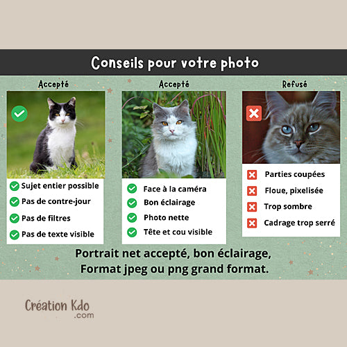 Plaque chat avec PERSONNALISATION COMPLÈTE photo texte Panneau personnalisé avec vos souhaits