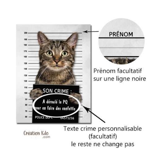 plaque humour chat prisonnier panneau