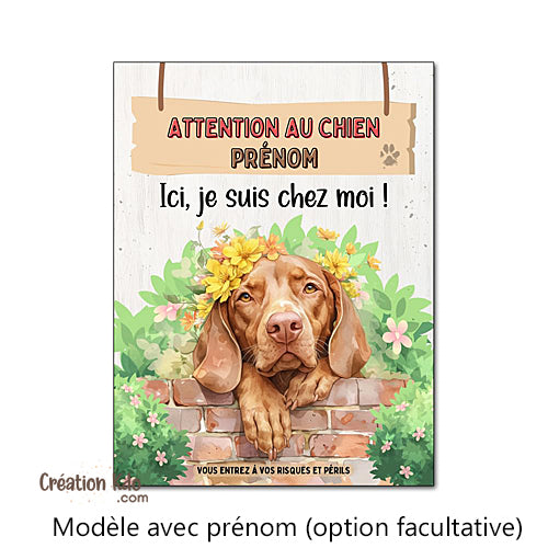 Plaque Attention au chien Ici, je suis chez moi Braque Hongrois (Vizsla)