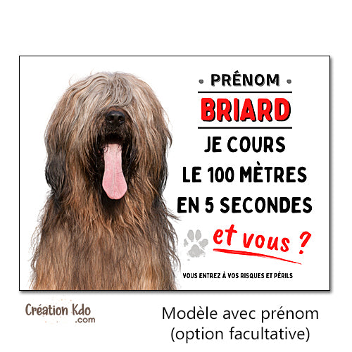 Plaque chien Attention Briard Je cours le 100 mètres (fauve) Panneau