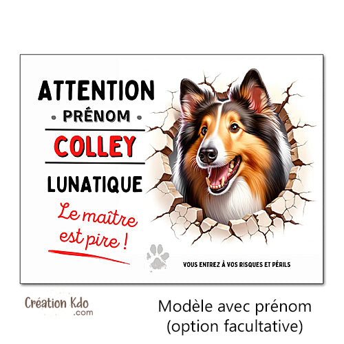 Plaque Colley Panneau humour chien lunatique le maître est pire