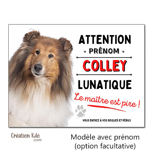 Plaque Colley Panneau humour chien lunatique le maître est pire !