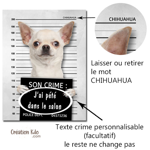 Plaque humour prisonnier chien Chihuahua poste de police Panneau identité criminelle