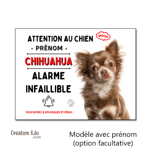 humour chihuahua