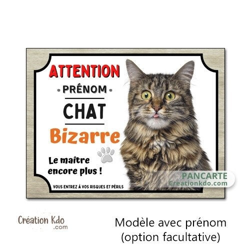 plaque attention au chat bizarre maine coon panneau