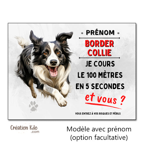 panneau border collie humour je cours le 100 mètres plaque chien personnalisée