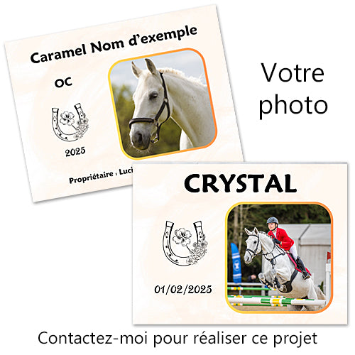 plaque de box photo cheval personnalisée panneau chevaux écurie