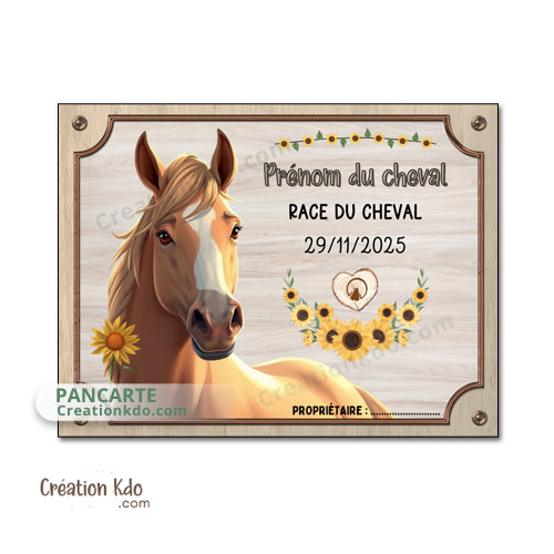 Plaque de box cheval personnalisée panneau d'écurie nom, race, année pancarte dessin animé equestre équitation