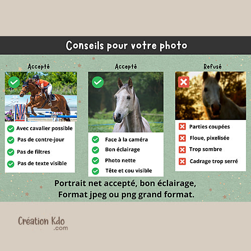 Plaque de box cheval poney personnalisée avec votre photo tons bleus