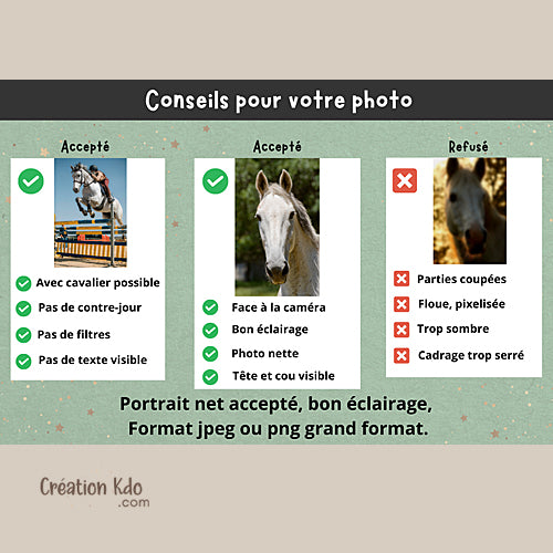 Plaque de box personnalisée avec votre photo Panneau cheval pour écurie ou sellerie