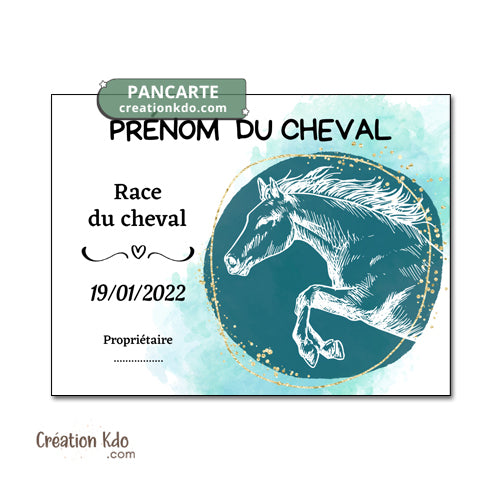 plaque de box cheval personnalisée panneau écurie chevaux race naissance nom