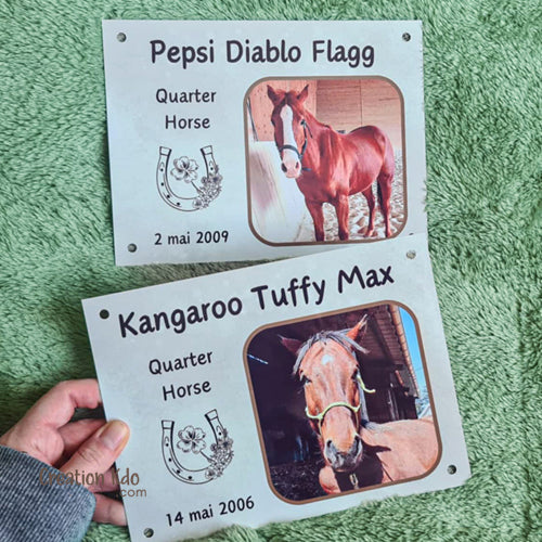 plaque de box personnalisée photo cheval nom chevaux sellerie panneau écurie