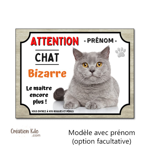 plaque attention au chat bizarre chartreux panneau humoristique
