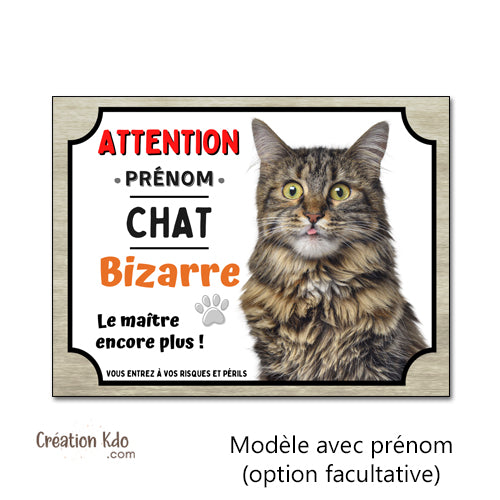 plaque attention au chat bizarre maine coon panneau décalé rigolo personnalisé photo