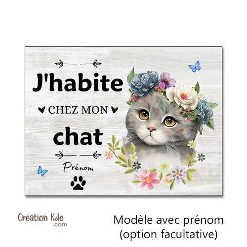 panneau j'habite chez mon chat plaque décorative chaton chartreux