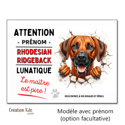 Rhodesian Ridgeback plaque panneau monte la garde chien lunatique humour personnalisé