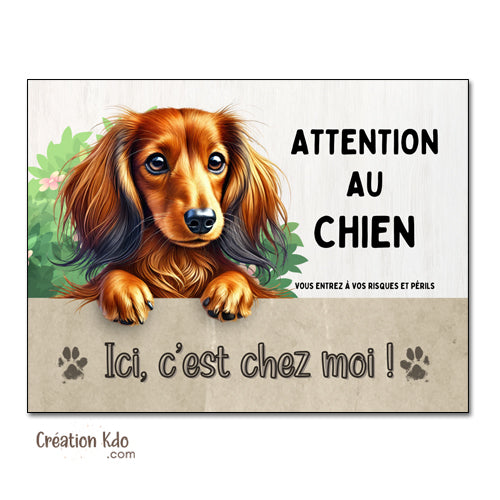 panneau teckel poil long attention au chien plaque