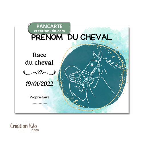 plaque de box cheval personnalisée panneau écurie chevaux race naissance nom