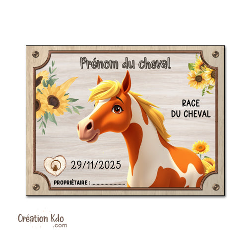 Plaque de box cheval pinto personnalisée disney pixar panneau d'écurie nom, race, année pancarte équestre équitation