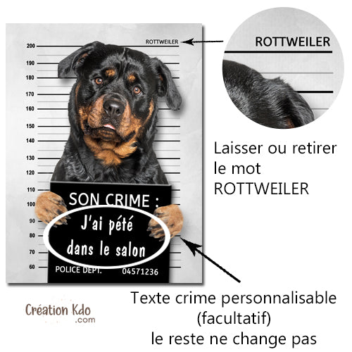 Plaque humour prisonnier Rottweiler au poste de police Panneau identité criminelle modèle 1