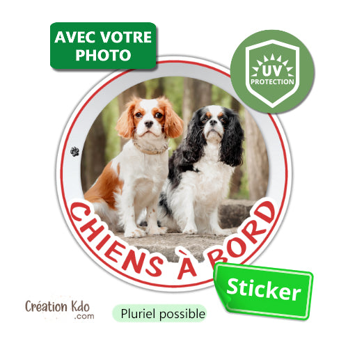 sticker chiens à bord