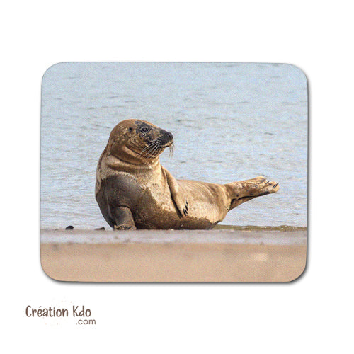 tapis de souris photo du nord plage photo pc