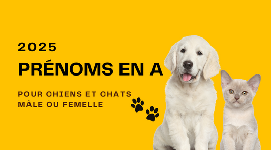 Prénoms chiens ou chats Lettre A Classés