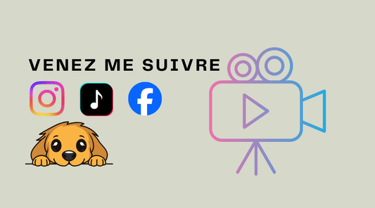 🎉 Je suis sur Facebook, Instagram et TikTok
