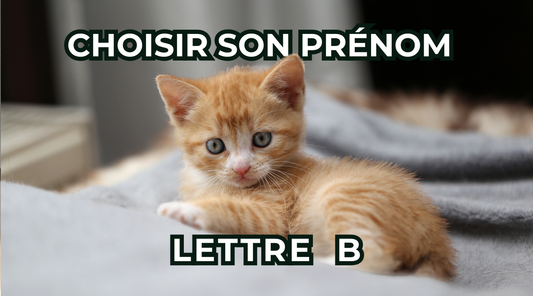 Liste prénoms chats Lettre B Classés