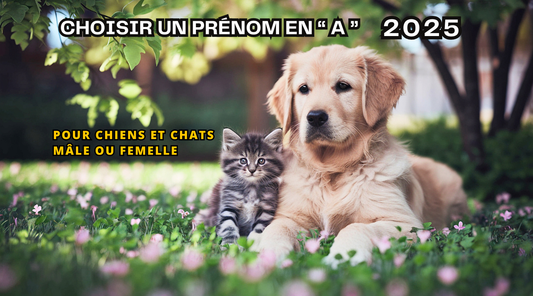 Prénoms chiens ou chats Lettre A Classés