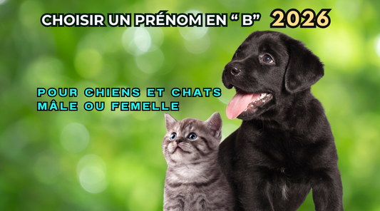 Prénoms chiens ou chats Lettre B Classés