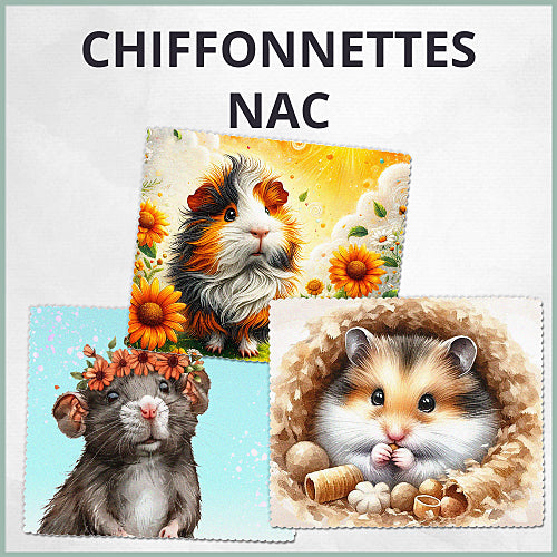 Essuie-lunette NAC Chiffonnettes