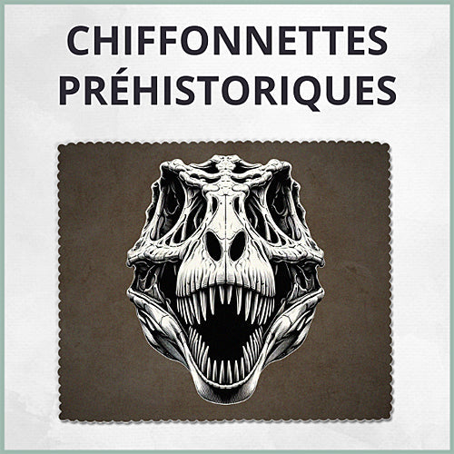 Essuie-lunette Dino & Cie Chiffonnettes