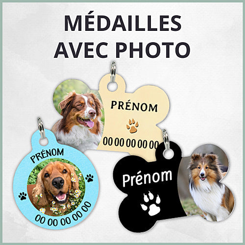 Médailles photo chien & chats