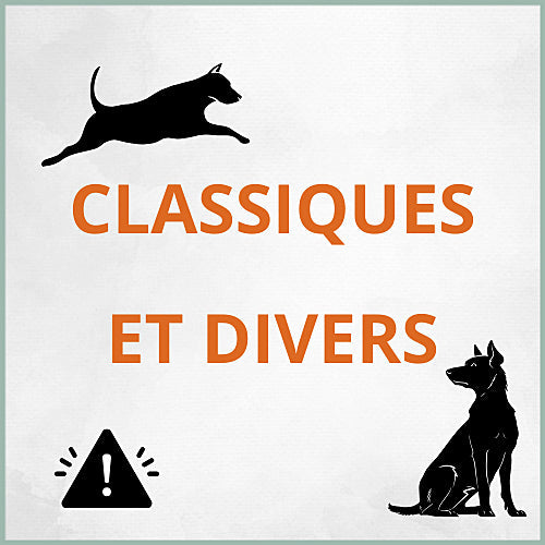 Plaques Attention au chien Classiques