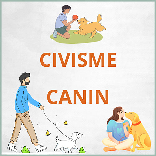 Plaques Civisme canin