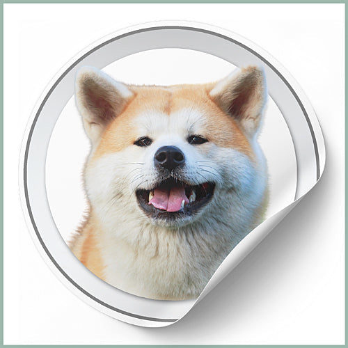 Stickers Akita Inu