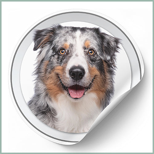 Stickers Berger Australien