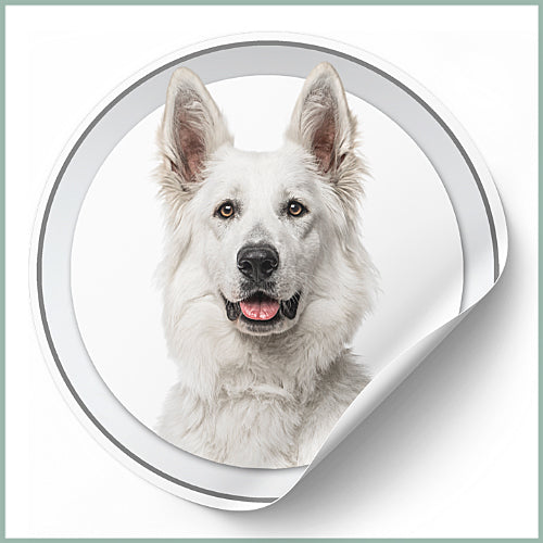 Les stickers Berger blanc Suisse
