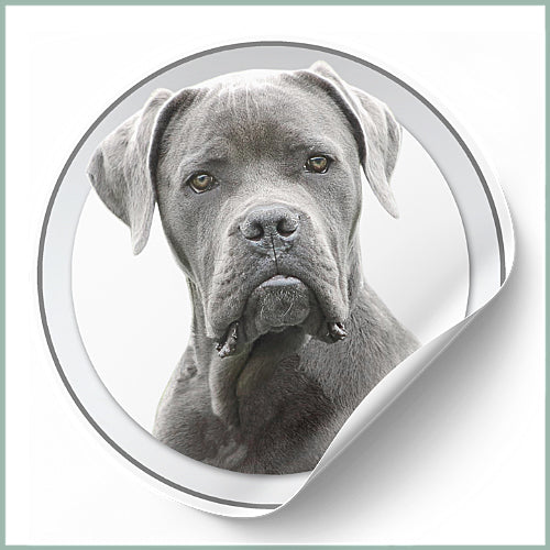 Stickers Cane Corso