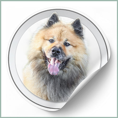 Stickers Eurasier