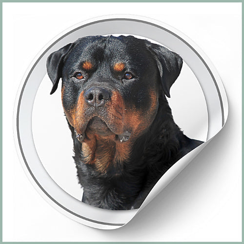 Stickers Rottweiler