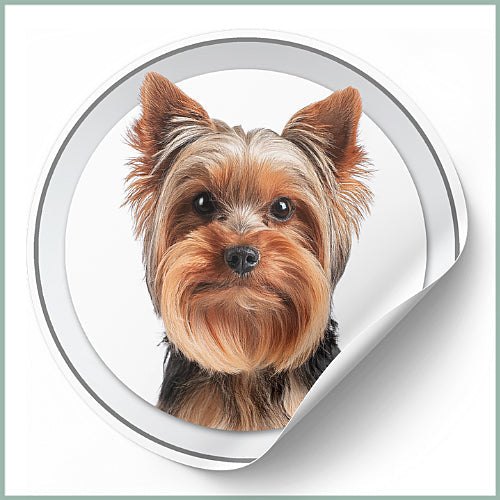 Les Stickers Yorkshire